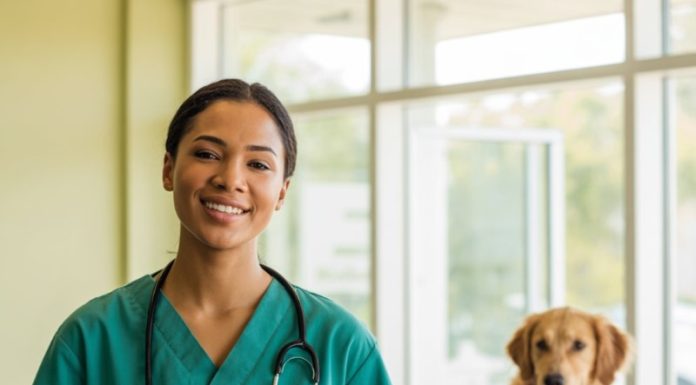 Top Tips for Landing Your First Veterinary Job veterinarian jobs near me