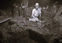 Extinction Insight: The Lottery of Fossilization How fossilization works like a lottery of fossilization—rare conditions preserve life, shaping our limited understanding of extinction and ancient history.